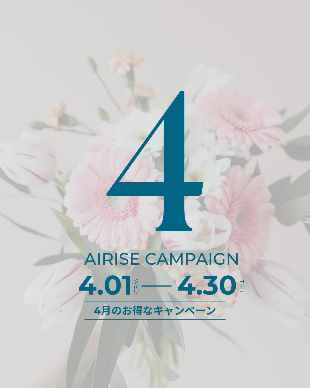 🌸春キャンペーン開催中🌸 