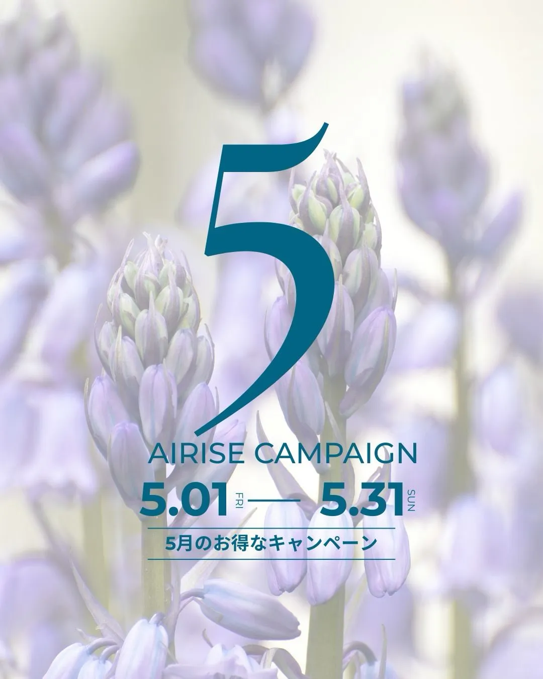 ＼5月限定🌿お得キャンペーン／