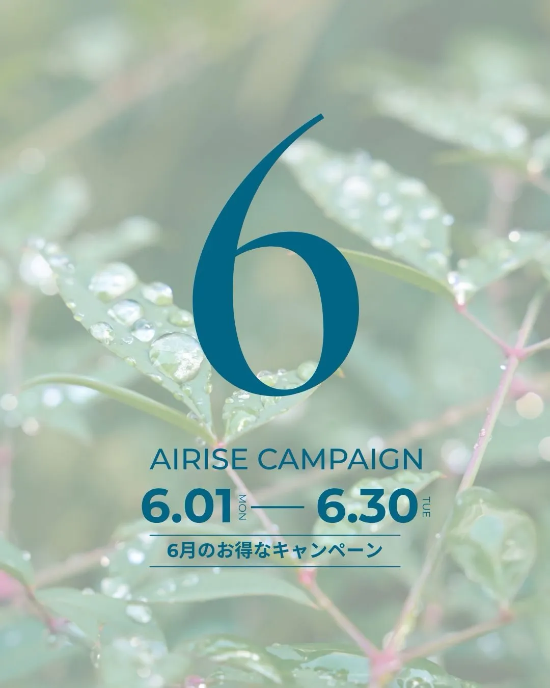 ☔️＼6月限定キャンペーン開催中！／☔️